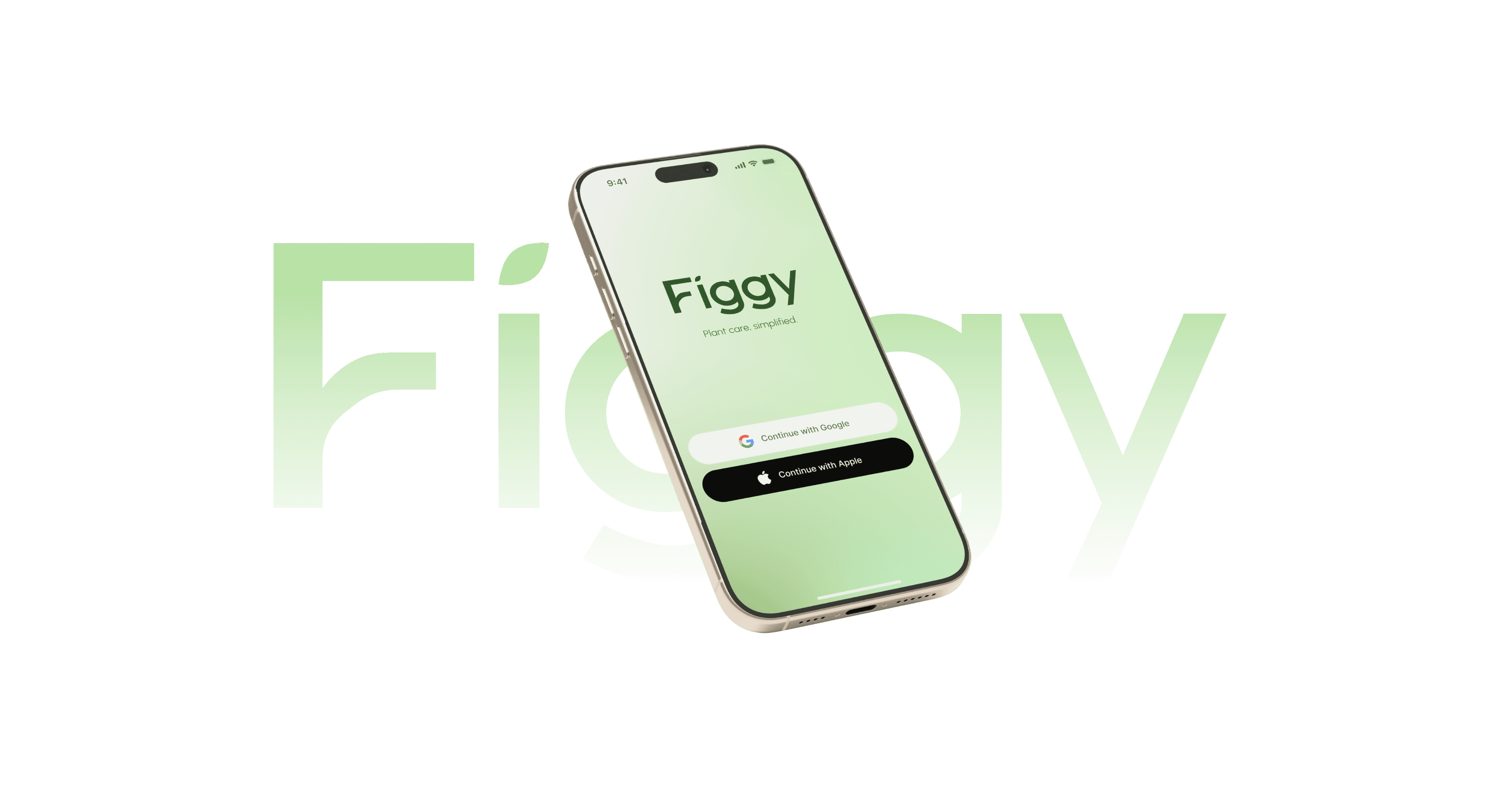 Figgy-bg