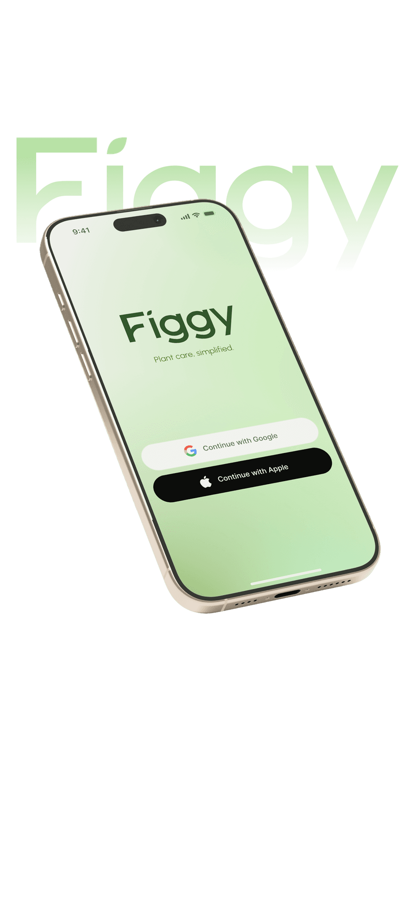 Figgy-bg
